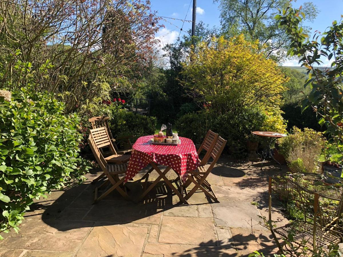 Cilffriw Farm Apartment Нийт Екстериор снимка